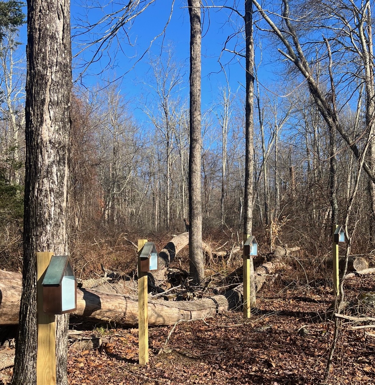 Mary S Way Of The Cross Printable